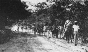 United States Marines on patrol in 1915 during the occupation of Haiti. A Haitian guide is leading the party