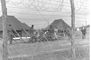 Egyptians POWs ,Suez Crisis1 November 1955